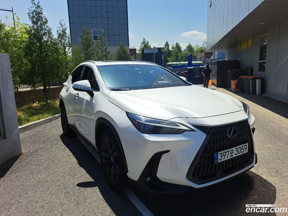 Lexus NX 350h 2024 — миниатюра 4