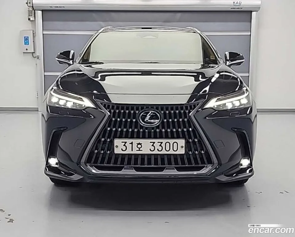 Lexus NX 350h 2022 — миниатюра 2