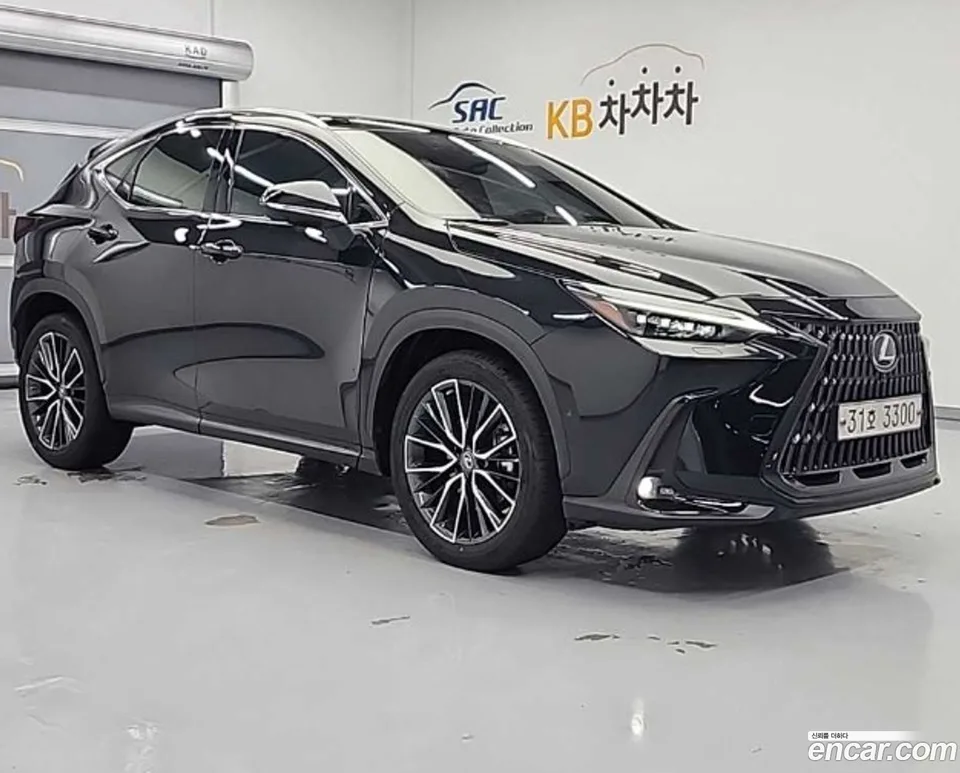 Lexus NX 350h 2022 — миниатюра 4