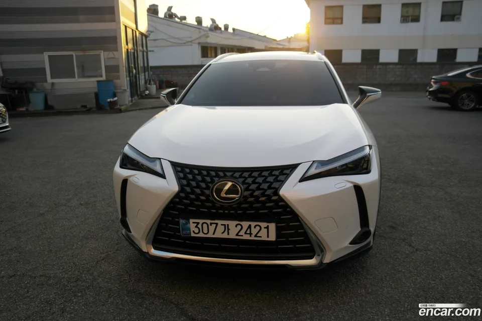 Lexus UX 300h 2.0 2WD 2024 — миниатюра 3