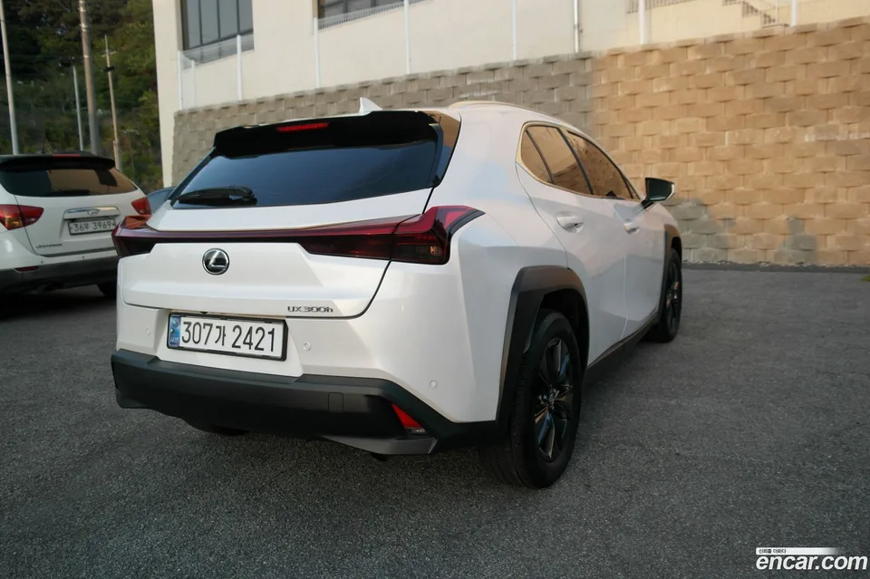 Lexus UX 300h 2.0 2WD 2024 — миниатюра 4