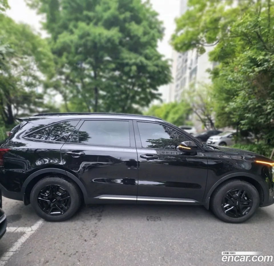 Kia Sorento HEV 1.6 2WD 2024 — миниатюра 3