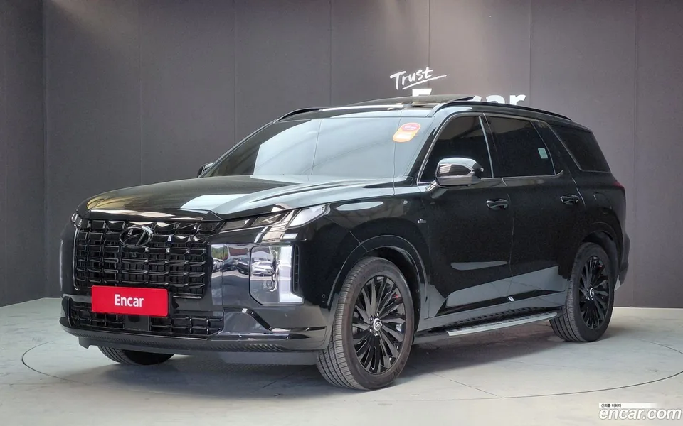 Hyundai Palisade 3.8 4WD 2024 — фото 1, купить с доставкой в Москву