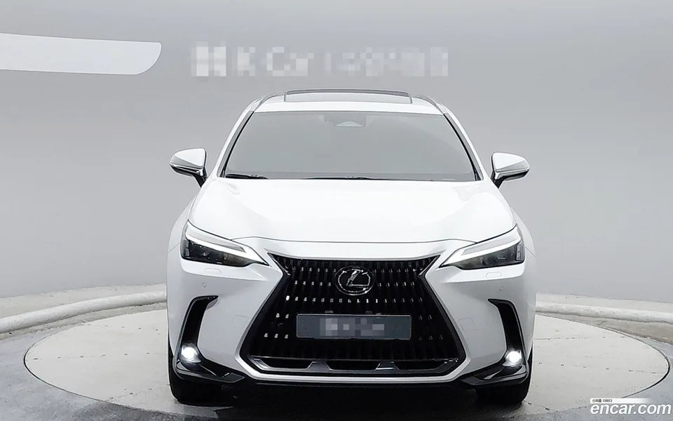 Lexus NX 350h 2024 — миниатюра 3
