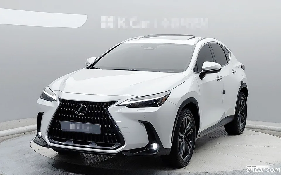 Lexus NX 350h 2024 — фото 1, купить с доставкой в Москву