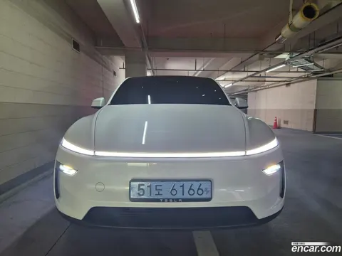 Tesla Model Y 2025 buy in Moscow