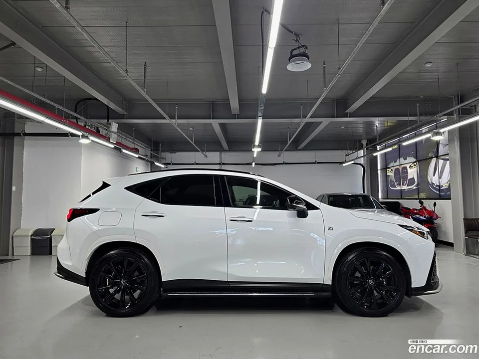 Lexus NX 450h+ F-Sport 2023 — миниатюра 2