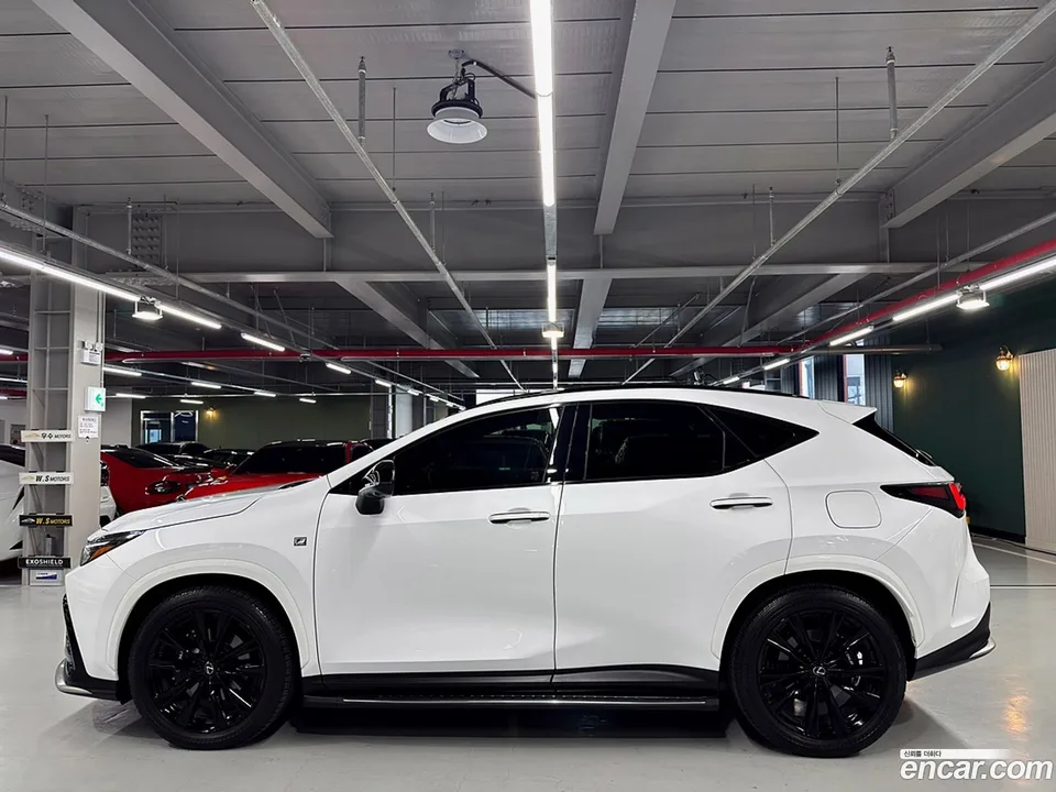 Lexus NX 450h+ F-Sport 2023 — миниатюра 4