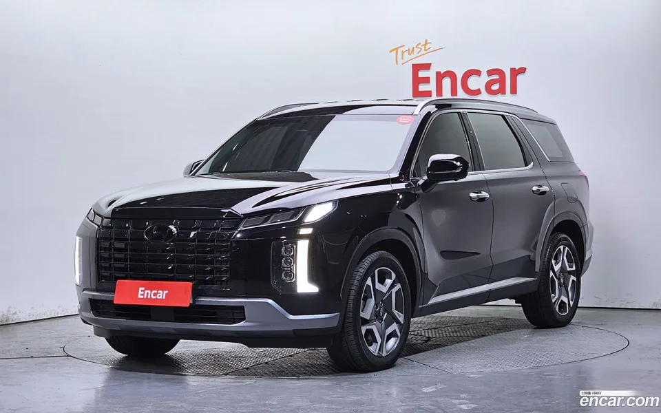 Hyundai Palisade 2.2 4WD 2024 — фото 1, купить с доставкой в Москву
