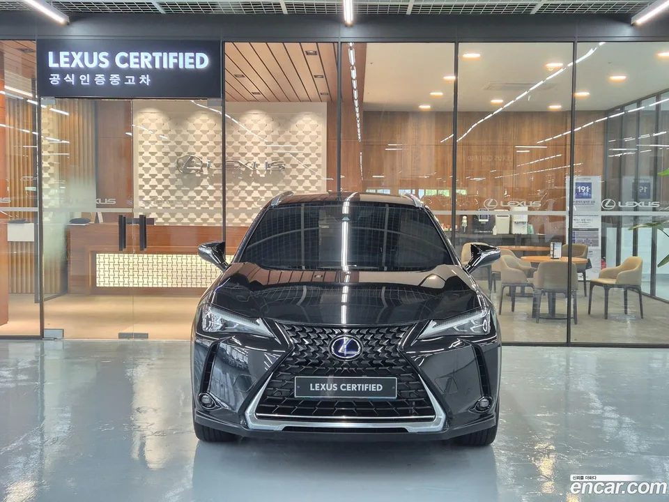 Lexus UX 300e 2WD 2022 — миниатюра 3