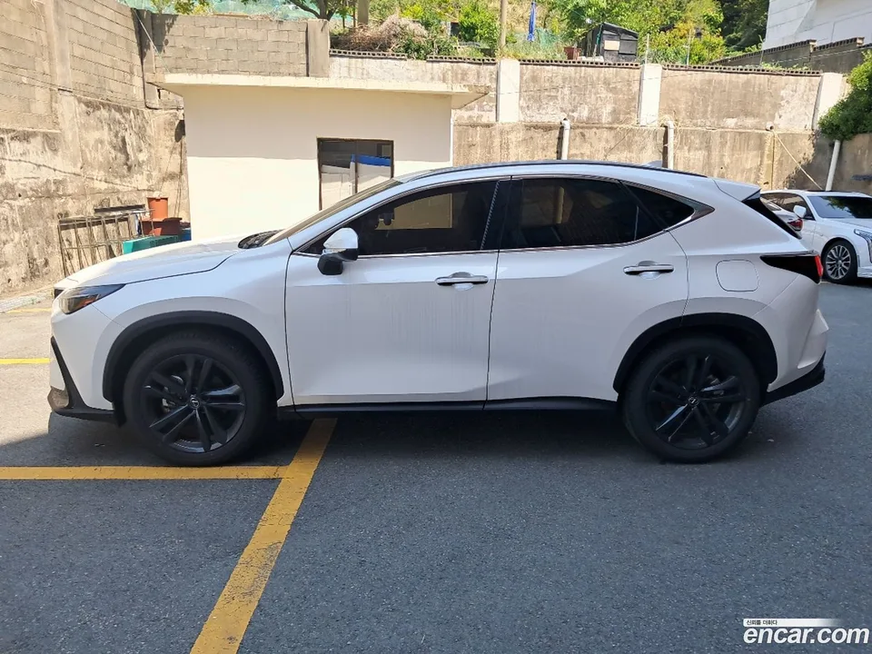 Lexus NX 350h 2025 — миниатюра 2