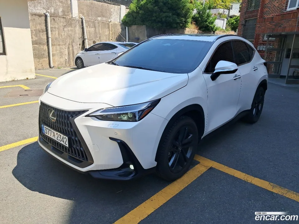 Lexus NX 350h 2025 — миниатюра 4