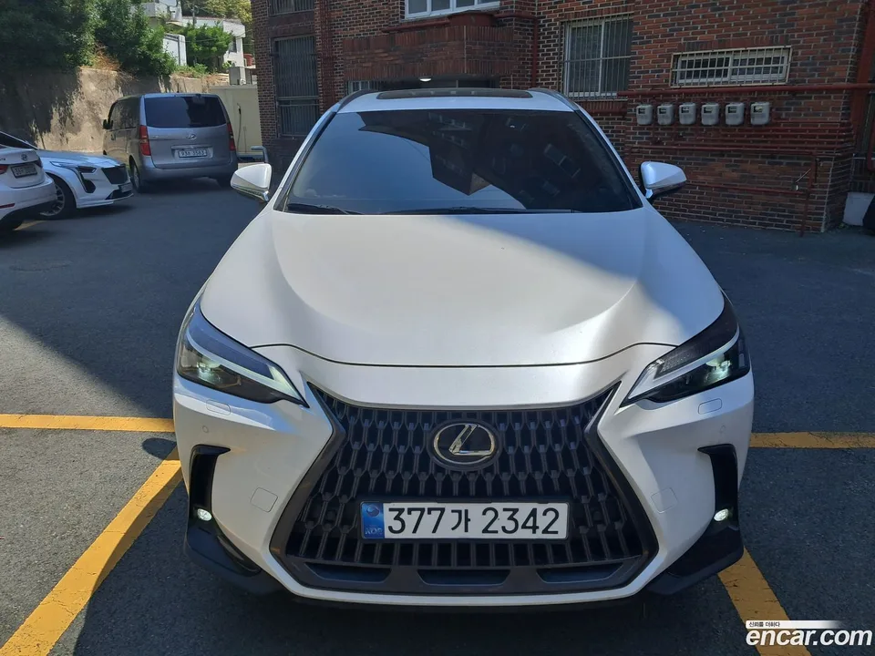 Lexus NX 350h 2025 — фото 1, купить с доставкой в Москву