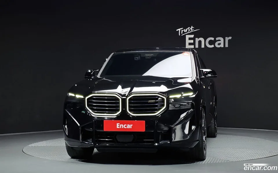 BMW XM 4.4 2024 — миниатюра 3