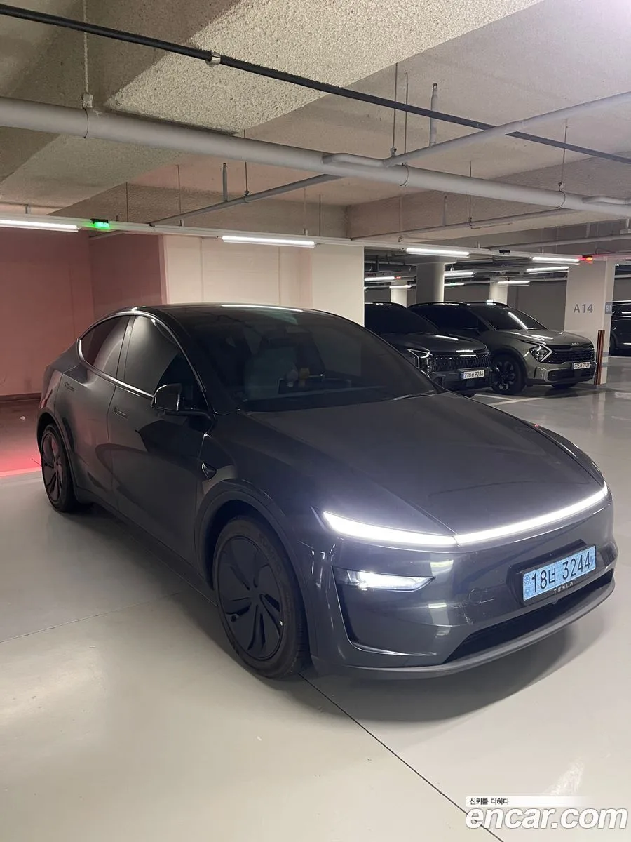 Tesla Model Y RWD 2025 — миниатюра 3
