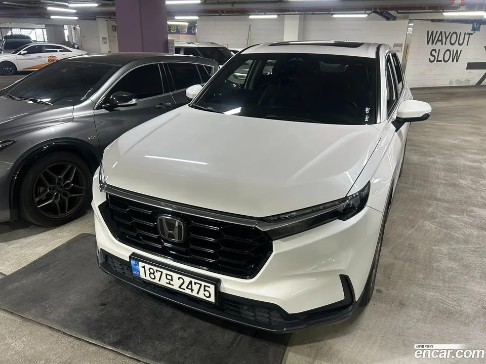 Honda CR-V 1.5 EX-L 2WD 2023 — фото 1, купить с доставкой в Москву