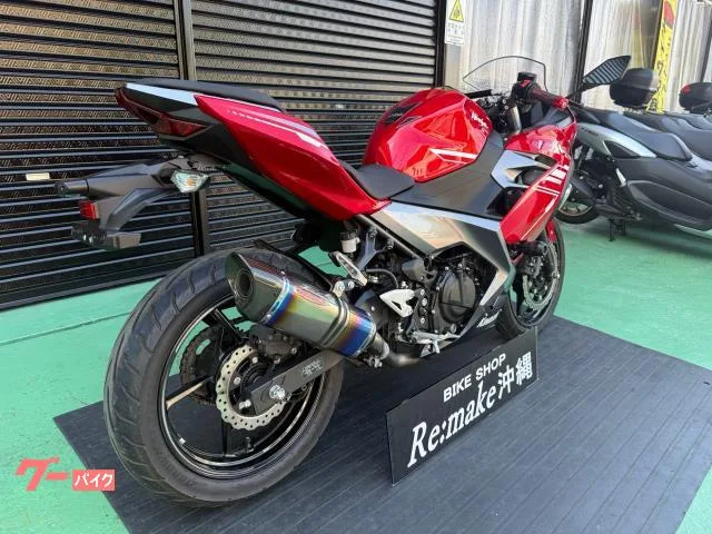 Kawasaki Ninja 250 EX250P 2022 — миниатюра 2