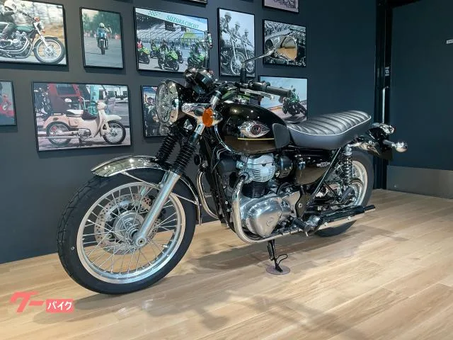 Kawasaki W800 2025 — миниатюра 4