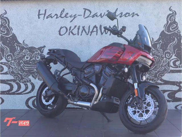 HARLEY-DAVIDSON 1250ST ABS/LED/ 2025 — миниатюра 2
