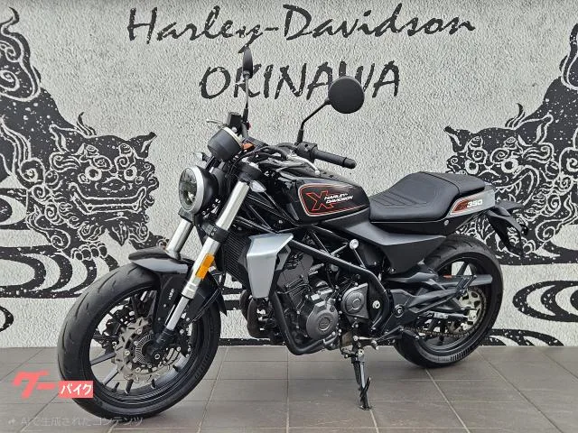 HARLEY-DAVIDSON X350 2024 ABS LED 2024 — миниатюра 2