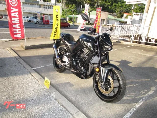 Yamaha MT-25 2022 — миниатюра 2