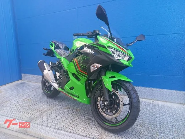 Kawasaki Ninja 250 2024 — миниатюра 2