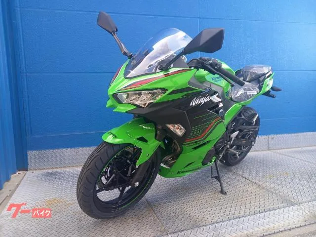 Kawasaki Ninja 250 2024 — миниатюра 3