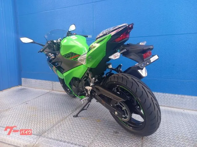 Kawasaki Ninja 250 2024 — миниатюра 4