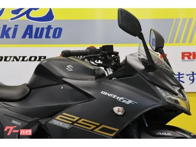 Suzuki GIXXER SF 250 USB 2023 — миниатюра 5