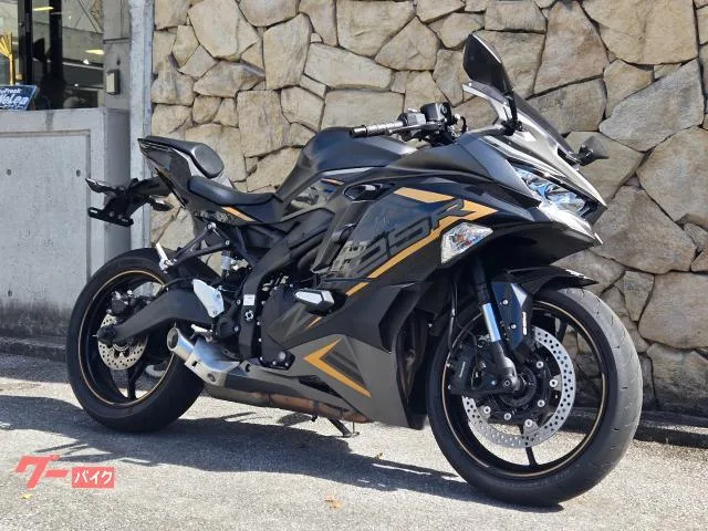 Kawasaki Ninja ZX-25R SE 2023 — миниатюра 2