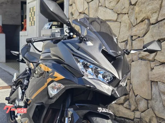 Kawasaki Ninja ZX-25R SE 2023 — миниатюра 5