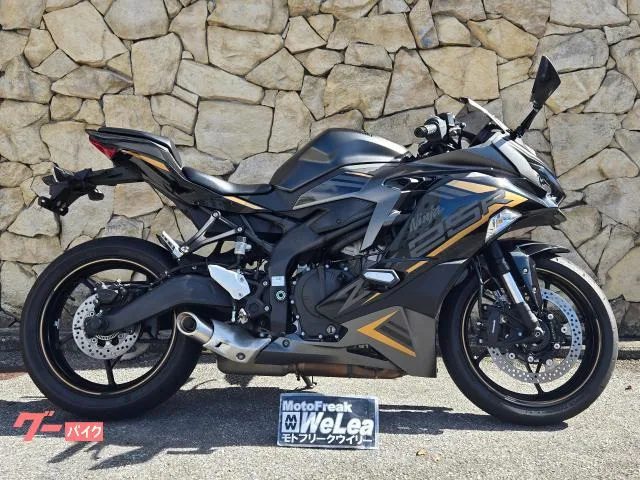 Kawasaki Ninja ZX-25R SE 2023 — фото 1, купить с доставкой в Москву