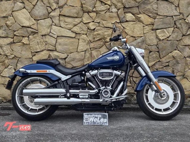 HARLEY-DAVIDSON FLFBS 114 2023 — фото 1, купить с доставкой в Москву