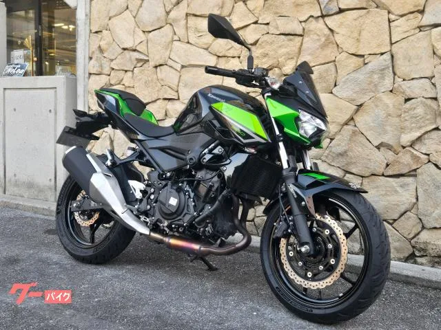 Kawasaki Z250 2023 — миниатюра 2