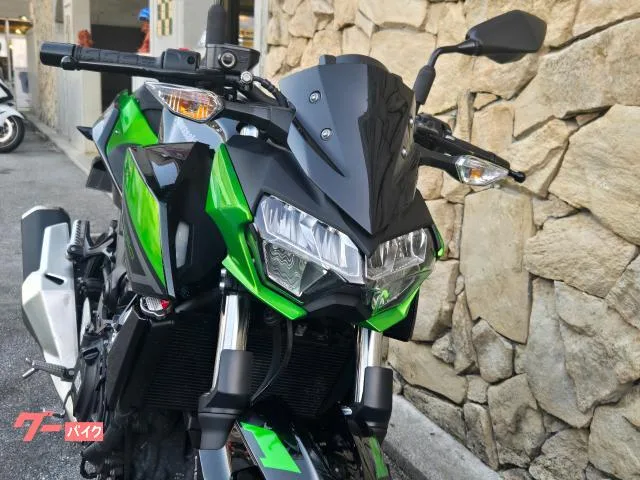 Kawasaki Z250 2023 — миниатюра 3