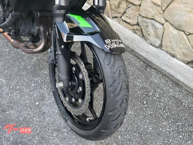 Kawasaki Z250 2023 — миниатюра 5