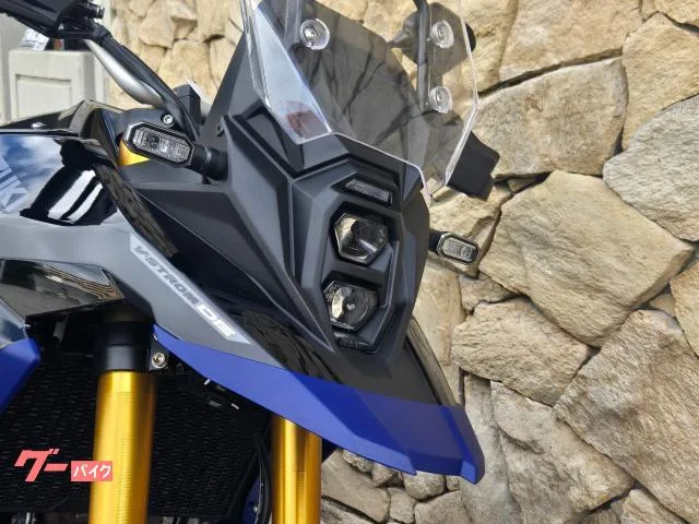 Suzuki V- 800DE 2023 — миниатюра 5