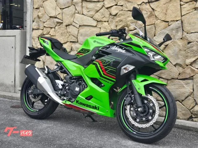 Kawasaki Ninja 250 2023 — миниатюра 2