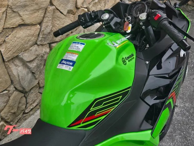 Kawasaki Ninja 250 2023 — миниатюра 3