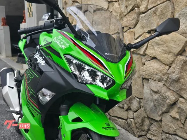 Kawasaki Ninja 250 2023 — миниатюра 5