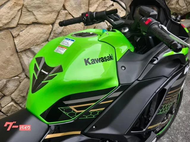 Kawasaki Ninja 650 2023 — миниатюра 3