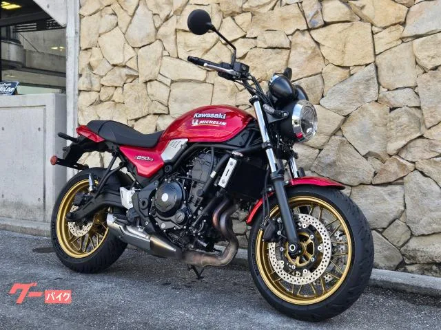 Kawasaki Z650RS 2024 — миниатюра 2