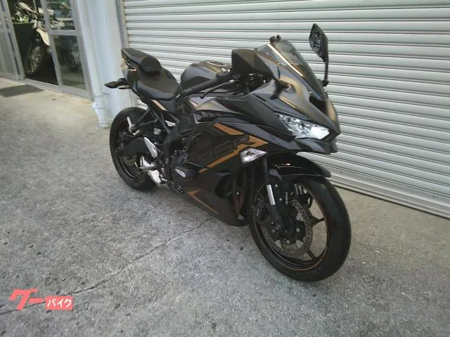 Kawasaki Ninja ZX-25R SE 2024 — миниатюра 2
