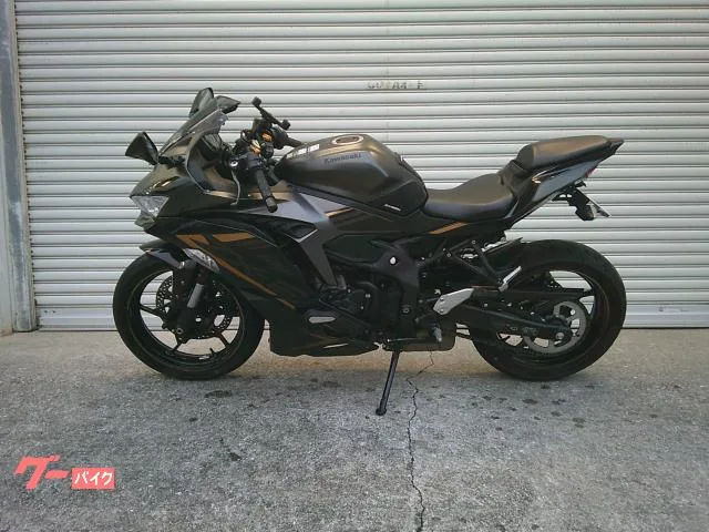 Kawasaki Ninja ZX-25R SE 2024 — миниатюра 3