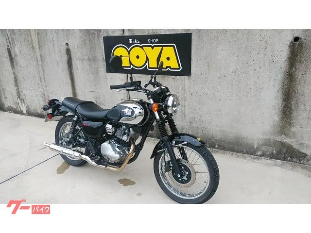 Kawasaki S1 2025 — миниатюра 2