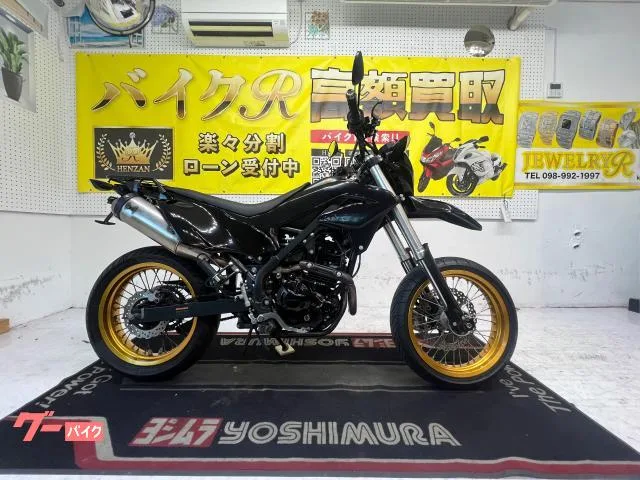 Kawasaki KLX230SM LX230A ABS 2023 — фото 1, купить с доставкой в Москву