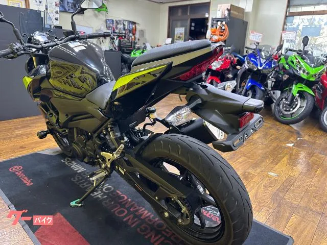 Kawasaki Z250 2BK-EX250P 2022 — миниатюра 4