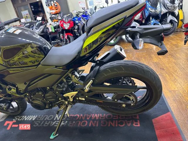 Kawasaki Z250 2BK-EX250P 2022 — миниатюра 5