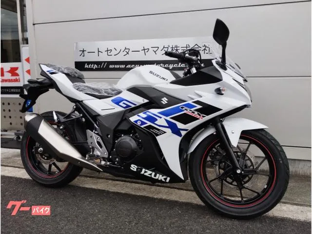 Suzuki GSX250R 2024 LED 2024 — миниатюра 2
