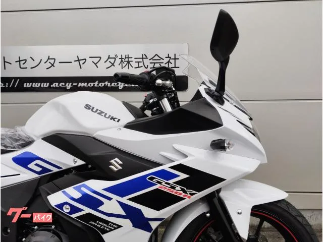 Suzuki GSX250R 2024 LED 2024 — миниатюра 4